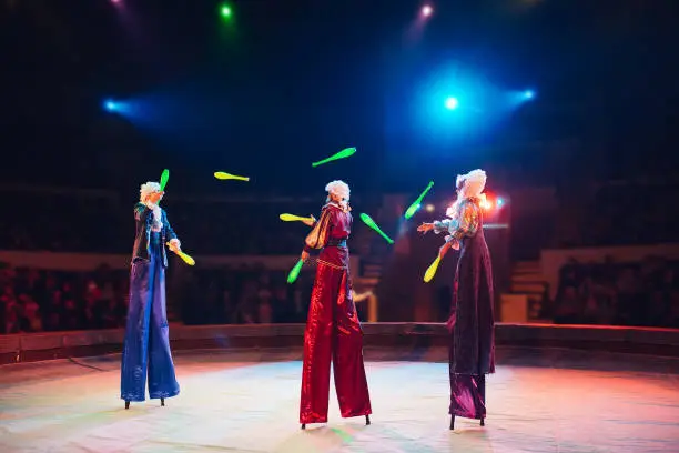 Photo of The performance of stilt-walkers in the circus