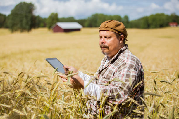 istock An agronomist checking the quality of grain 1271521670