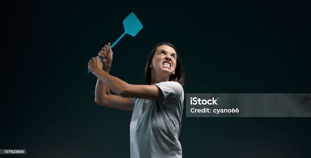 Angry woman killing mosquitoes with a fly swatter Angry woman killing mosquitoes, she is holding a fly swatter like a weapon Mosquito Stock Photo