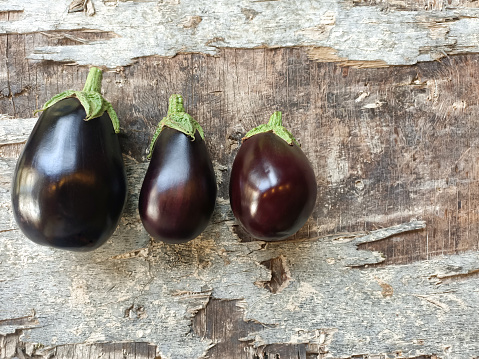 eggplants in order from large to small