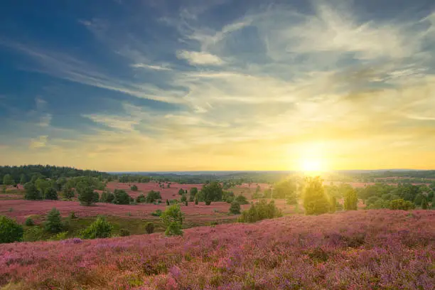 Sunrise Sunset in the Lüneburg Heath