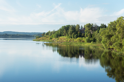 Lake in a pine forest. Summer landscape of nature