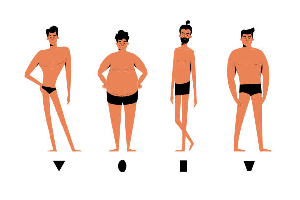 illustrazioni stock, clip art, cartoni animati e icone di tendenza di set di forme del corpo maschile : tipi di figure triangolari invertite, ovali, rettangolari, romboidi. corpo di anatomia umana forme collezione cartone animato isolato su bianco, illustrazione vettoriale personaggio uomo, design piatto - male men body fashion model