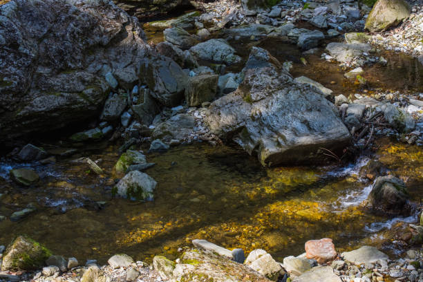 istock shady and sunny places in a creek 1271531580