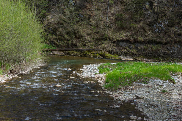 istock creek while hiking in the nature 1271531625