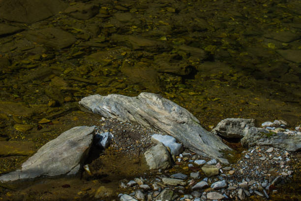 istock rocks ina clear water from a slow creek 1271531640