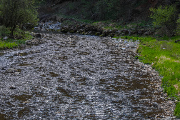 istock glitterling creek in the sun while hiking 1271531643