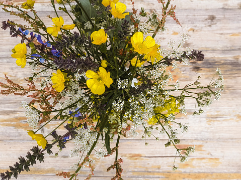 Calendula flowers and amber glass dropping bottle with essential oil. Marigold medicinal plant, herbal medicine, naturopathy and phytotherapy. Ingredient for natural beauty products and cosmetics.