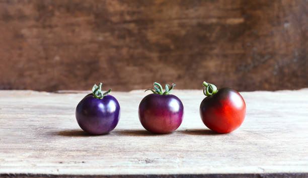 Blue tomatoes in different stages of ripening