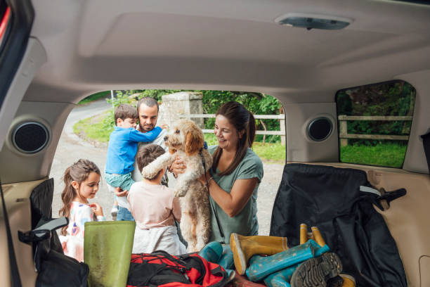 Unloading the Car A medium shot of a family getting prepared to go out walking in a woodland forest in Northumberland, Northeastern England during the Covid-19 pandemic. They are starting to unload the car and the mother is picking up the dog. northern europe family car stock pictures, royalty-free photos & images