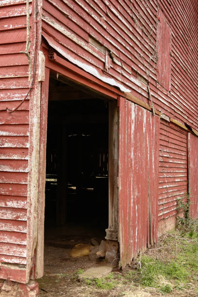 istock Open door in old red barn 1271536890