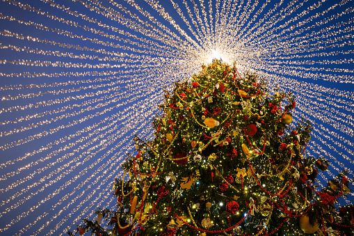 Big Christmas tree, garlands on a background of blue sky.