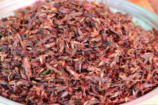 Photo of Plate of cooked insects sold in a Cambogian street market