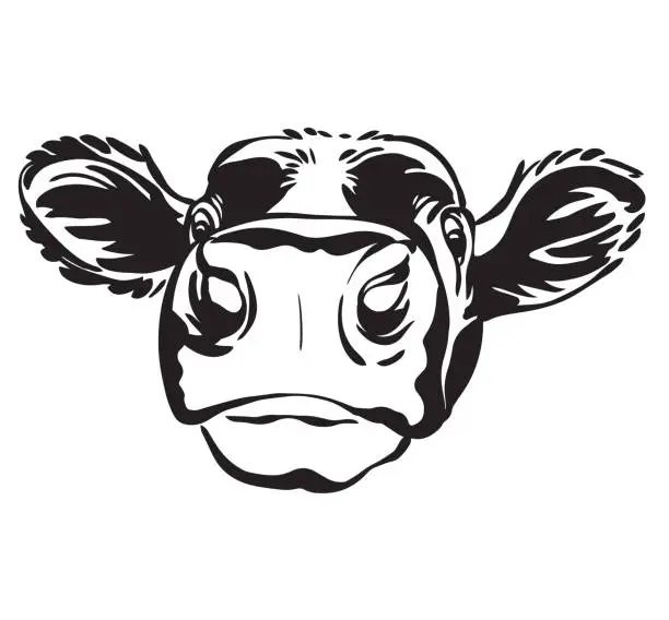 Vector illustration of Abstract contour portrait of calf vector image