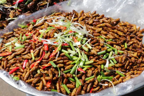 Photo of Plate of cooked worms sold in a Cambogian street market