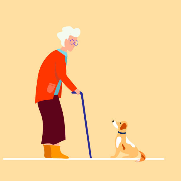 Elderly Woman With A Walker Grandmother Walking The Dog Cartoon Character Elderly  Man Vector Illustration Stock Illustration - Download Image Now - iStock