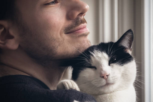 istock Closeup of a black and white cat cuddled by a beard man 1271543820