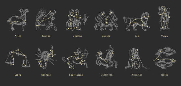 Vector retro graphic illustrations of Zodiac signs Zodiac constellations on background of hand drawn astrological symbols in engraving style. Vector retro graphic illustrations of horoscope signs. capricorn illustrations stock illustrations