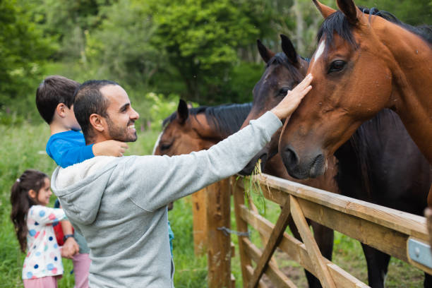 istock Petting the Horse! 1271547905