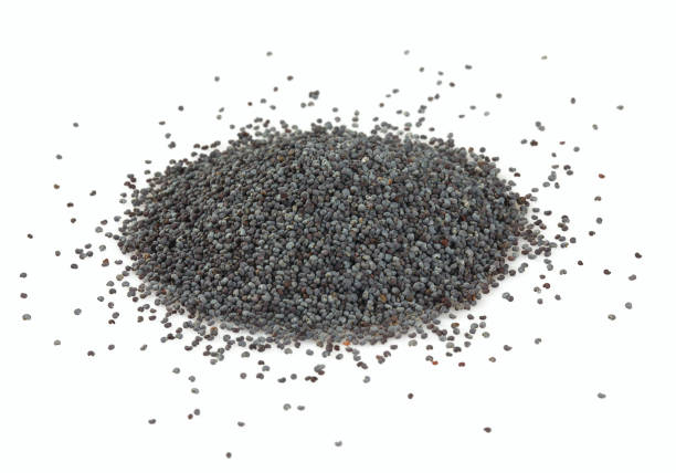 istock poppy seeds isolated on white 1271550318