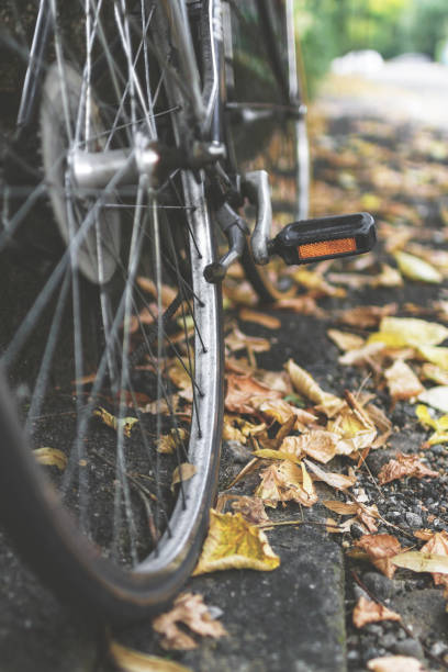 istock Urban bicycle in autumn 1271552388