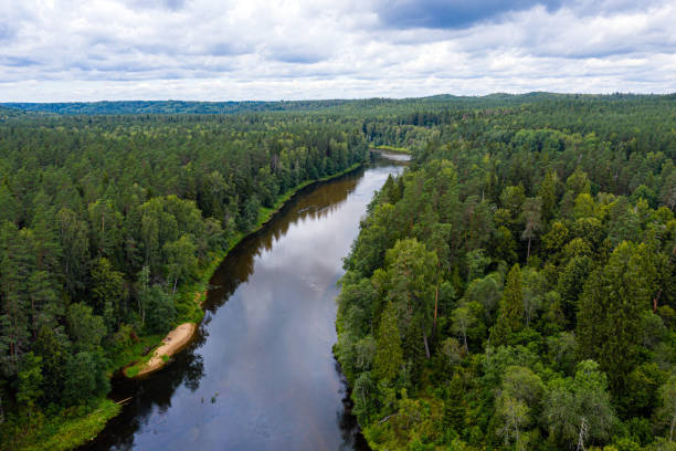 istock view from above on the river Gauja, which winds through mixed tree forests, Gauja National Park, Latvia 1271553544