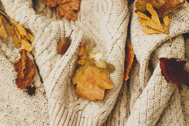 istock Cozy autumn. Warm knitted sweater with autumn leaves, acorns and anise. Hello fall, rustic image 1271553717