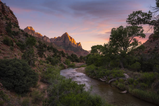 istock Virgin river sunset in Zion National Park, Utah 1271557110