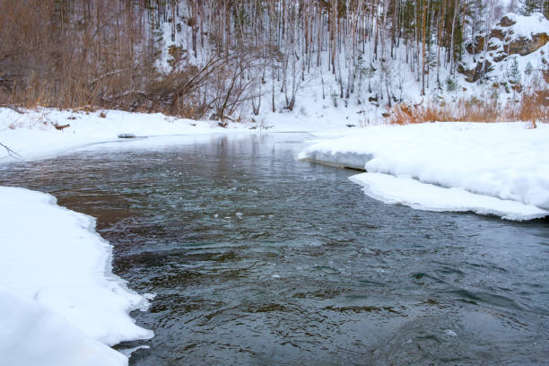 冬の森の中の凍った川、土手の雪と氷 - unfrozen ストックフォトと画像