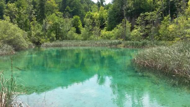 istock Lake landscape in Plitvice Lakes National Park 1271559607