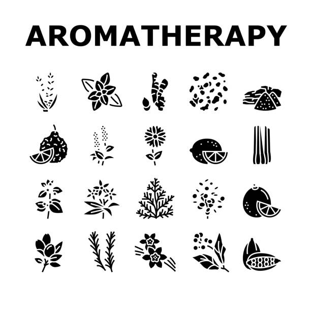 illustrations, cliparts, dessins animés et icônes de aromatherapy herbs collection icons set vector illustration - citrus fruit