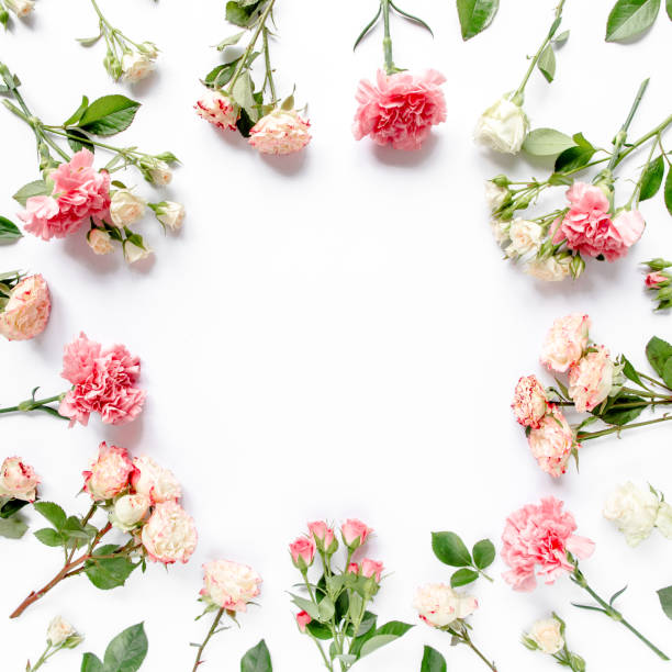 istock frame made of beautiful pink roses and eucalyptus branches on a white background. The apartment lay, top view. Floral frame. Frame of flowers 1271568652