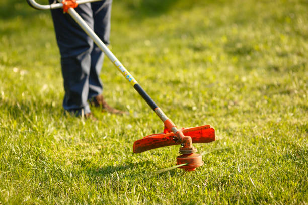 istock mowing trimmer - worker cutting grass in green yard at sunset 1271569736
