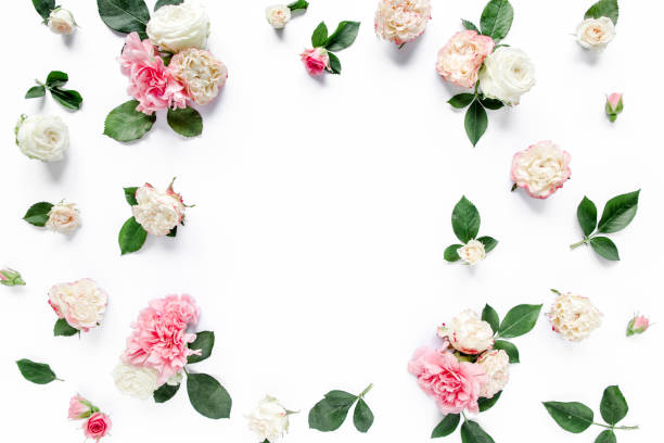 istock roses and cloves, branches, floral pattern on white background. Flat lay, top view. Valentine's background. Floral frame. Frame of flowers 1271569760