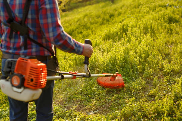 istock mowing trimmer - worker cutting grass in green yard at sunset 1271569801