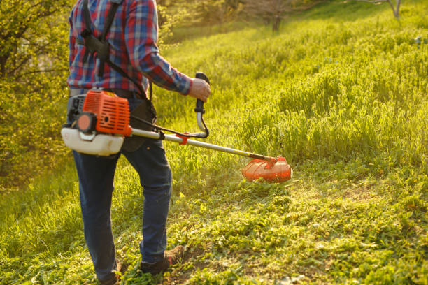 istock mowing trimmer - worker cutting grass in green yard at sunset 1271569824