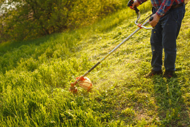 istock mowing trimmer - worker cutting grass in green yard at sunset 1271569873