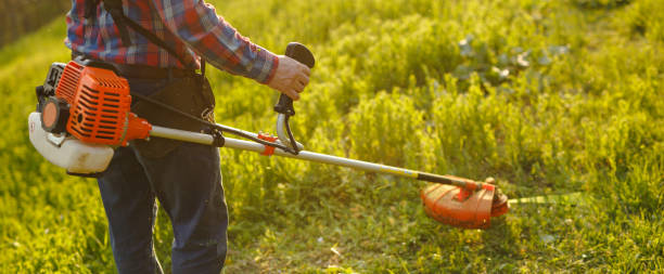 istock mowing trimmer - worker cutting grass in green yard at sunset 1271569926