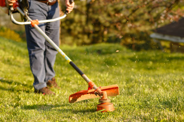 istock mowing trimmer - worker cutting grass in green yard at sunset 1271569944