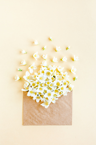 Creative layout of their Jasmine bouquet in a crab envelope on a beige background. lay flat, top view. High quality photo