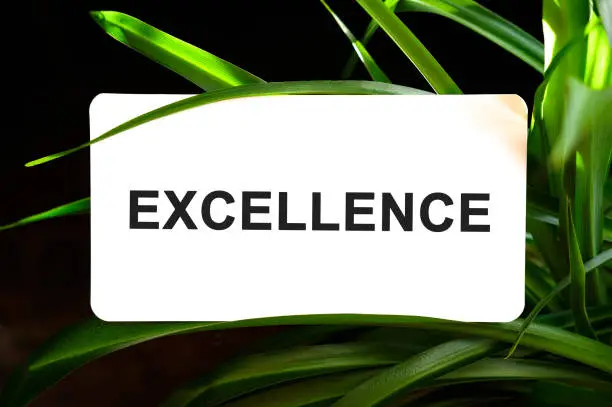Photo of EXCELLENCE text on white surrounded by green leaves