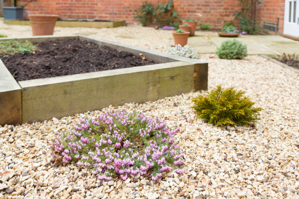 heathers y hebes en jardines de invierno, jardinería de invierno, reino unido - heath ceramics fotografías e imágenes de stock