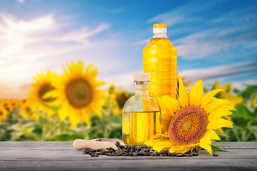 Sunflower oil and seeds on the table against the background of blue sky and sunflowers