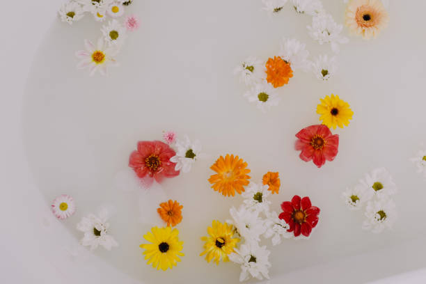 istock Multicolored flowers in white water. 1271581487