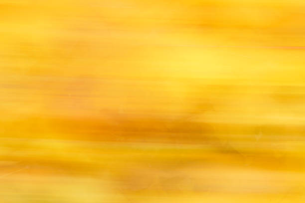 Abstract colorful fall background with yellow leaves stock photo