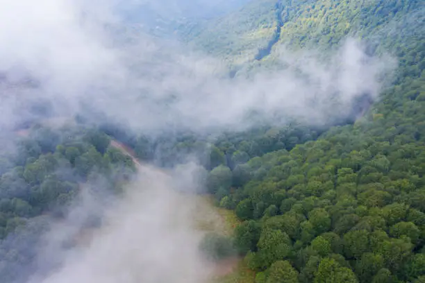 Aerial view of morning mist at blacksea rainforest mountain