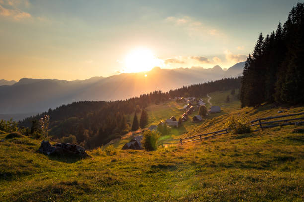 a pokljuka, slovenia - alpine upland foto e immagini stock