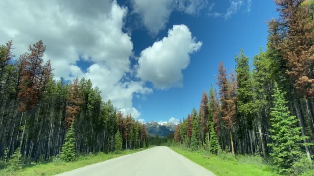 4K POV Video of Car driving on Empty highway in Jasper National Park, Canada