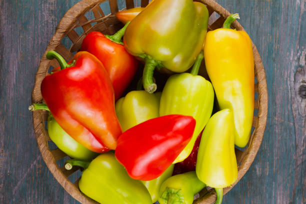 istock ripe multi-colored bell peppers in a wicker basket on an old wooden background 1271586548