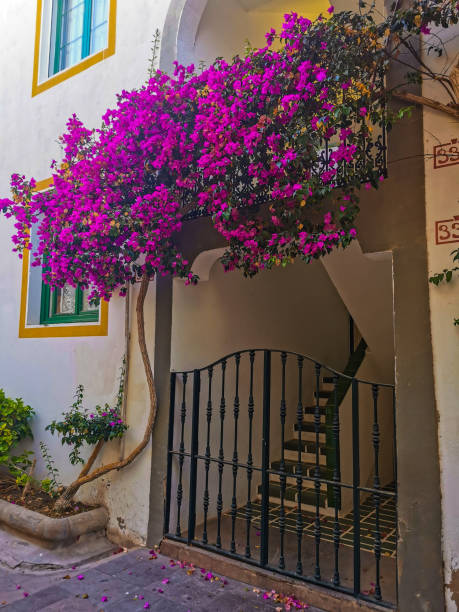 istock Flowers on a house 1271587048